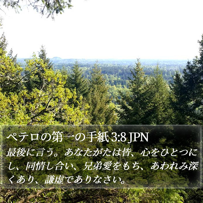ペテロの第一の手紙 3:8 JPN Bible Study