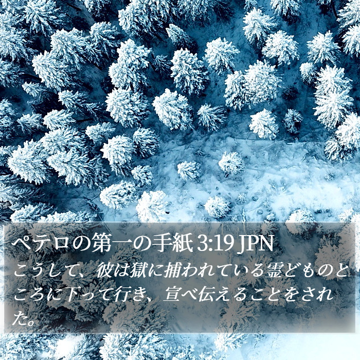 ペテロの第一の手紙 3:19 JPN Bible Study