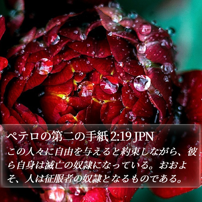 ペテロの第二の手紙 2:19 JPN Bible Study