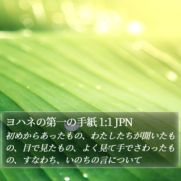 ヨハネの第一の手紙 1:1 JPN Bible Study