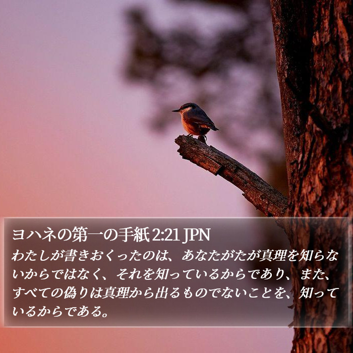 ヨハネの第一の手紙 2:21 JPN Bible Study