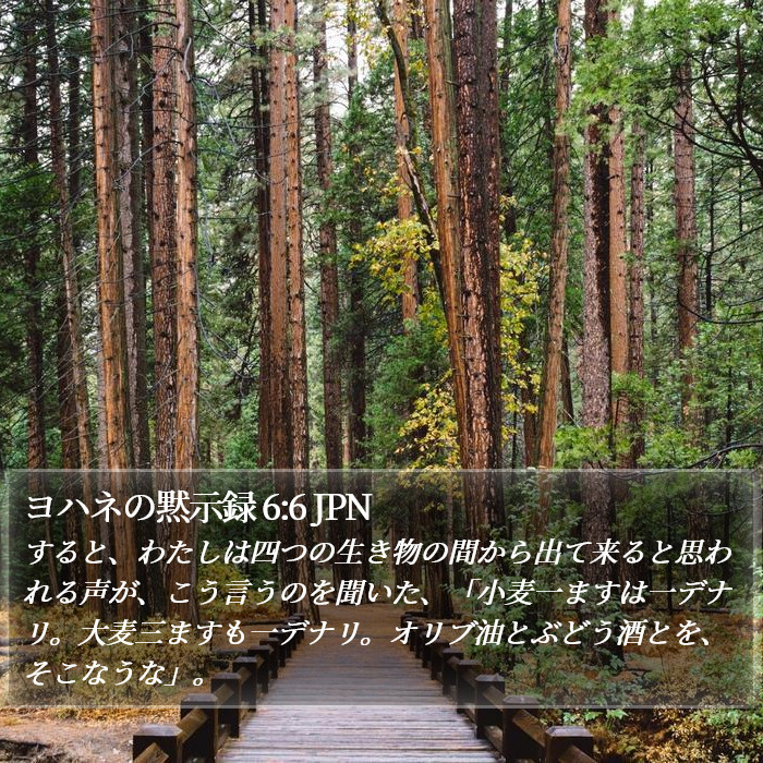 ヨハネの黙示録 6:6 JPN Bible Study