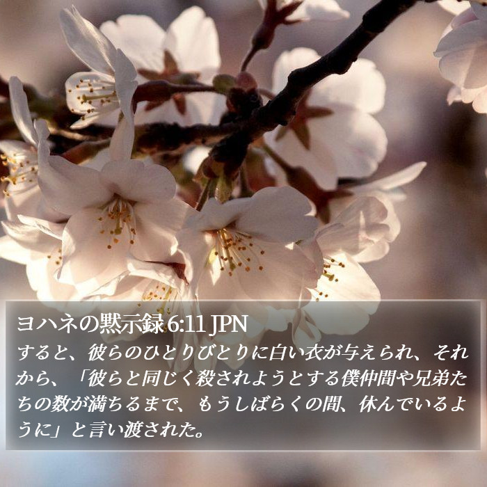 ヨハネの黙示録 6:11 JPN Bible Study