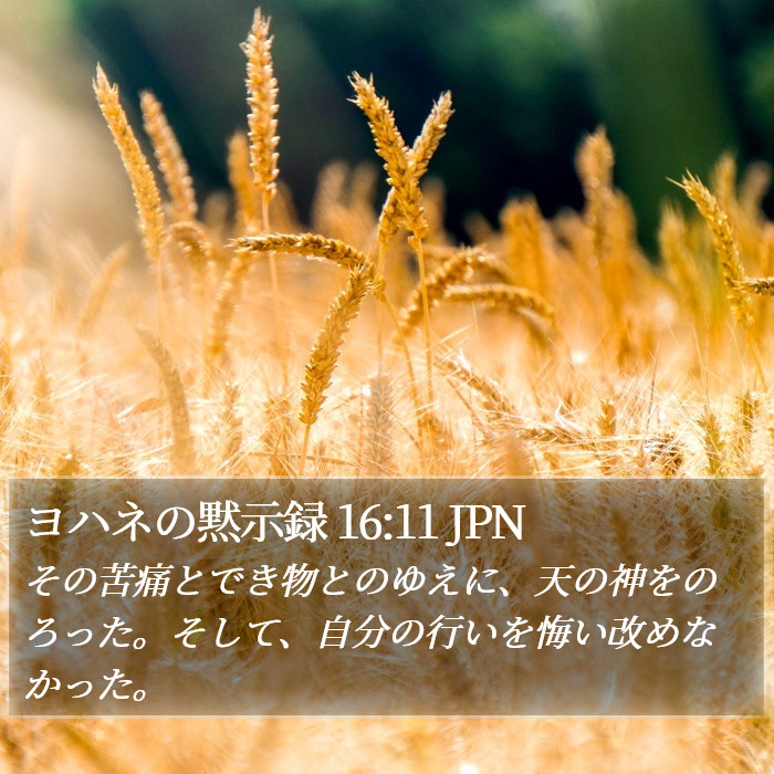 ヨハネの黙示録 16:11 JPN Bible Study