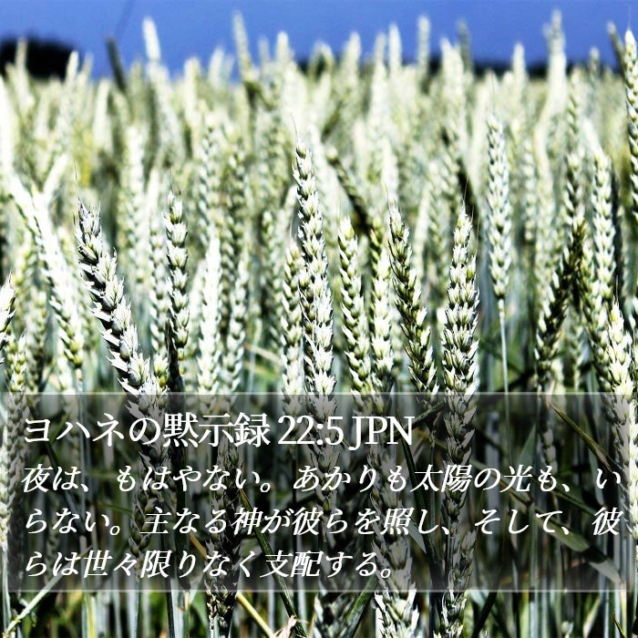 ヨハネの黙示録 22:5 JPN Bible Study